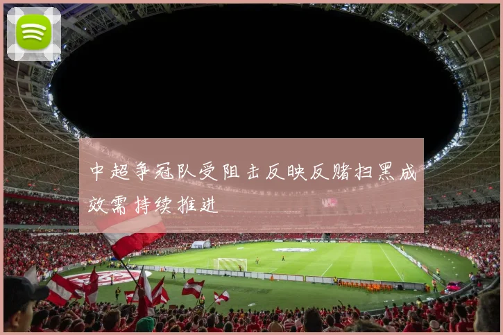 中超争冠队受阻击反映反赌扫黑成效需持续推进