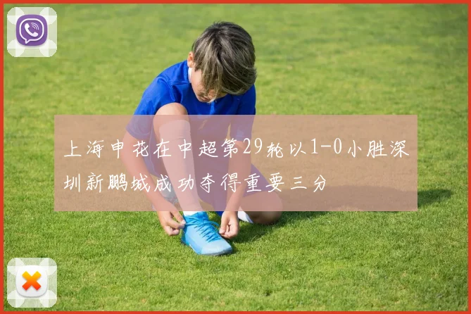 上海申花在中超第29轮以1-0小胜深圳新鹏城成功夺得重要三分