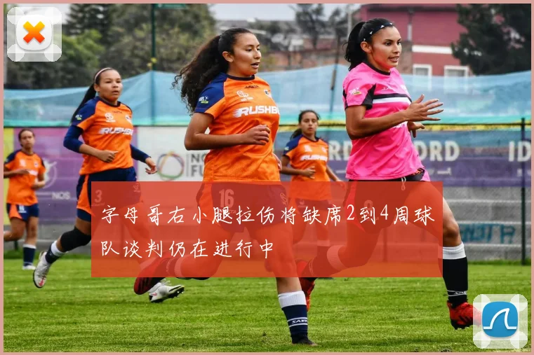 字母哥右小腿拉伤将缺席2到4周球队谈判仍在进行中
