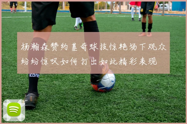 杨瀚森赞约基奇球技惊艳场下观众纷纷惊叹如何打出如此精彩表现
