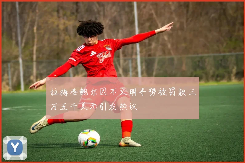 拉梅洛鲍尔因不文明手势被罚款三万五千美元引发热议