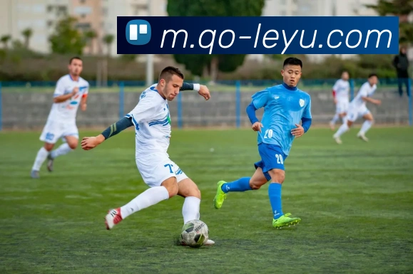 乐鱼体育品牌故事