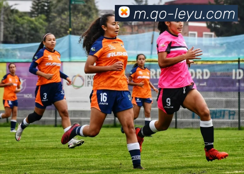 乐鱼体育服务体系